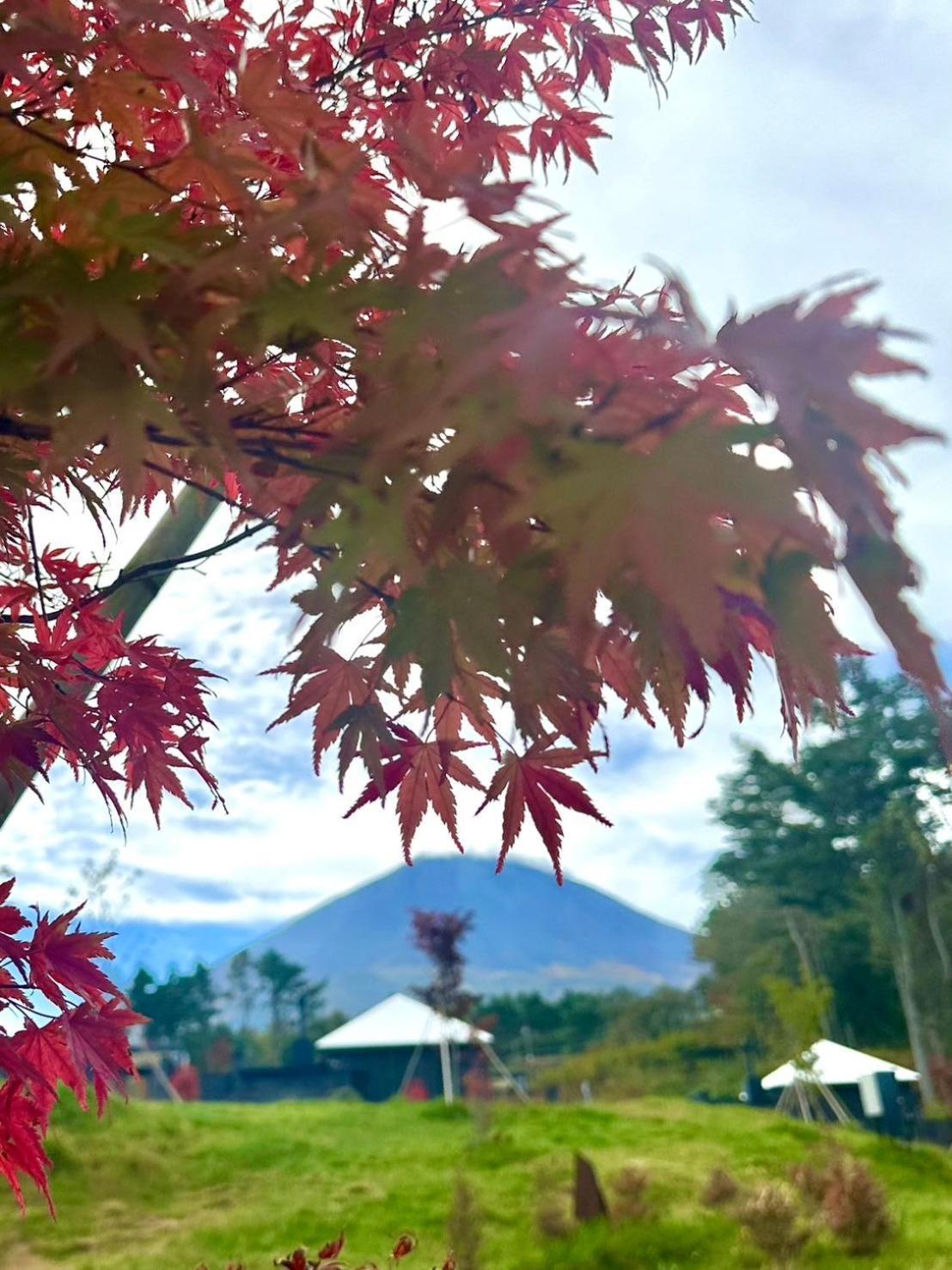 The Sense Fuji Otel Narusawa Dış mekan fotoğraf